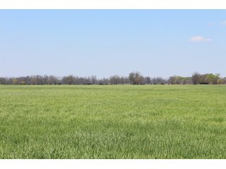 Property photo 34 - OKLAHOMA LAND AUCTION, 550+/- Acres offered in 7 Tracts